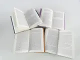 Lot van 20 boeken – De Morgen: De Verboden Boeken (2003) – foto 3 – kavel bij De Kringwinkel, Heverlee