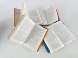 Lot van 20 boeken – De Morgen: De Verboden Boeken (2003) – foto 6 – kavel bij De Kringwinkel, Heverlee