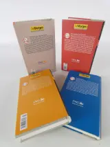 Lot van 20 boeken – De Morgen: De Verboden Boeken (2003) – foto 7 – kavel bij De Kringwinkel, Heverlee