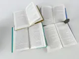 Lot van 20 boeken – De Morgen: De Verboden Boeken (2003) – foto 9 – kavel bij De Kringwinkel, Heverlee