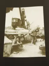 De Natiebazen – Henk Van Cauwenbergh – Lannoo – foto 8 – kavel bij De Kringwinkel, Antwerpen