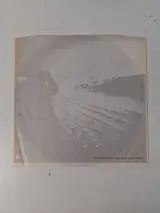 LP: Echo and the Bunnymen: "Porcupine" – foto 3 – kavel bij De Kringwinkel, Oostkamp