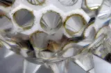 Swarovski kristallen egel – foto 6 – kavel bij De Kringwinkel, Diest
