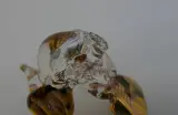 Glazen vogelhanger met goudkleurige accenten – foto 5 – kavel bij De Kringwinkel, Diest