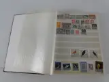 Verzameling postzegels met albums en losse postzegels – foto 27 – kavel bij De Kringwinkel, Heverlee