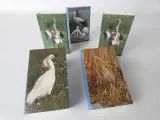 verzameling luciferdoosjes – foto 2 – kavel bij De Kringwinkel, Heverlee