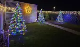 Kunstkerstboom met voet, groen – foto 4 – kavel bij Onlineveilingmeester, Zutphen