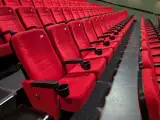 Volledige set bioscoopstoelen en loveseats – foto 15 – kavel bij Onlineveilingmeester, Hengelo