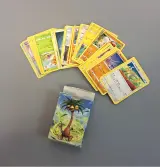 Set van Pokémon-kaarten uit de Forbidden Light-serie – kavel bij De Kringwinkel, Aalst