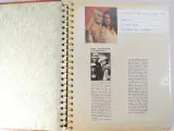 ABBA-verzameling: boeken, tijdschriften, krantenknipsels – foto 3 – kavel bij De Kringwinkel, Heverlee