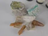 Verzameling mineralen, fossielen en edelstenen – foto 5 – kavel bij De Kringwinkel, Heverlee