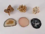 Set van diverse mineralen en agaatschijven – foto 3 – kavel bij De Kringwinkel, Heverlee