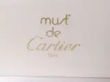 Vintage vulpen Must de Cartier met etui – foto 5 – kavel bij De Kringwinkel, Heverlee