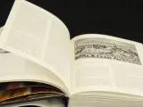 Vlaanderen en Engeland - Invloed van Lage Landen op Engeland Ten tijde van de Tudors en de Stuarts John J. Murray Mercatorfonds – foto 4 – kavel bij De Kringwinkel, Antwerpen