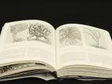 Vlaanderen en Engeland - Invloed van Lage Landen op Engeland Ten tijde van de Tudors en de Stuarts John J. Murray Mercatorfonds – foto 5 – kavel bij De Kringwinkel, Antwerpen