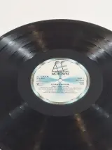 Vinylplaat Lionel Richie - Can't Slow Down – foto 7 – kavel bij De Kringwinkel, Geraardsbergen