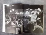 Boek: Lord Snowdon (Stern Fotografie) – foto 3 – kavel bij De Kringwinkel, Gent