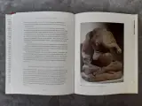 Boek: Hoe kunst de wereld maakt – foto 7 – kavel bij De Kringwinkel, Gent