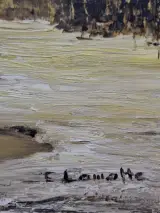 Olieverfschilderij van winters rivierlandschap bij zonsondergang - E. Lamotte – foto 5 – kavel bij De Kringwinkel, Gent