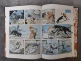 Strips: Eerste 3 albums uit de reeks "Rahan, fils des âges farouches" – foto 5 – kavel bij De Kringwinkel, Gent
