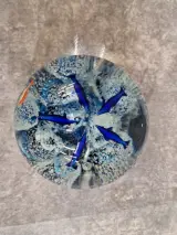 Glazen presse-papier met dolfijnen en onderwater tafereel - Murano-stijl – foto 3 – kavel bij De Kringwinkel, Gent