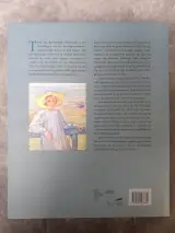 Boek: Théo van Rysselberghe – foto 7 – kavel bij De Kringwinkel, Gent