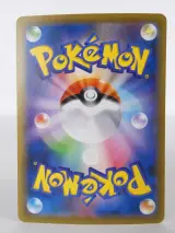 2 Pokémon kaarten Mega Gardevoir EX en Mega Slowbro EX – foto 4 – kavel bij De Kringwinkel, Heverlee