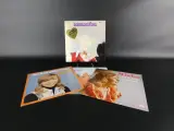 Set van 4 vintage Nederlandstalige LP's – kavel bij De Kringwinkel, Heverlee
