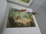Le Livre de la Jungle - geïllustreerd boek in het Frans – foto 5 – kavel bij De Kringwinkel, Diest