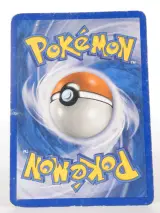 2 Pokémon kaarten: Bagon en Voltorbe (shiny) – foto 4 – kavel bij De Kringwinkel, Heverlee