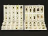 Natuurlot: 4 displayboxen met insecten en spinnen in harsblokken – kavel bij De Kringwinkel, Antwerpen
