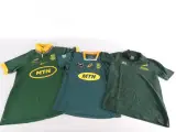 Set van 3 Springboks rugby shirts in diverse maten – kavel bij De Kringwinkel, Heverlee