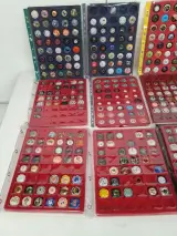 Collectie champagne en cavacapsules – foto 3 – kavel bij De Kringwinkel, Waardamme