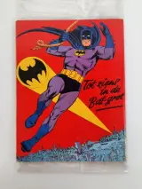 Groot Batman Album – 1.001 Geheimen van Batman en Robin (1966) – Vanderhout – Eerste Druk / Vintage Cult-Klassieker – foto 2 – kavel bij De Kringwinkel, Waardamme