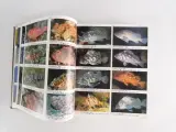 Atlas of Aquarium Fishes - 2-delige set referentieboeken – foto 5 – kavel bij De Kringwinkel, Heverlee