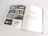 Atlas of Aquarium Fishes - 2-delige set referentieboeken – foto 6 – kavel bij De Kringwinkel, Heverlee