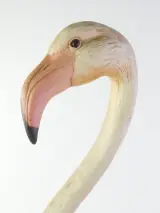Vintage flamingo beeld - Giuseppe Armani – foto 5 – kavel bij De Kringwinkel, Heverlee