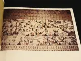 Chinese Painting - Kunstboek over Chinese schilderkunst – foto 5 – kavel bij De Kringwinkel, Antwerpen