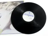 Madonna - True Blue LP – foto 2 – kavel bij De Kringwinkel, Dilsen
