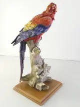 Papegaai beeldje - Giuseppe Armani - Capodimonte – foto 4 – kavel bij De Kringwinkel, Heverlee