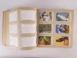 3 vintage Liebig Chromo albums met plaatjes – foto 3 – kavel bij De Kringwinkel, Heverlee