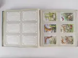 3 vintage Liebig Chromo albums met plaatjes – foto 9 – kavel bij De Kringwinkel, Heverlee