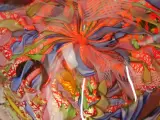 Tutti Frutti Expressieve Glaskunst in Murano-stijl – foto 5 – kavel bij De Kringwinkel, Antwerpen