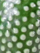Set van 3 Serax cactusvazen – foto 8 – kavel bij De Kringwinkel, Heverlee