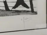 Ingelijste litho van een landschap met boerderijen en bomen – foto 3 – kavel bij De Kringwinkel, Oudenaarde
