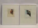 Set van 2 handgesigneerde dierillustraties ‘Haan’ en ‘Vrouwelijke uil’ - 2000/2002 - Willy Bosschem – kavel bij De Kringwinkel, Gent