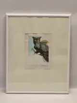Set van 2 handgesigneerde dierillustraties ‘Haan’ en ‘Vrouwelijke uil’ - 2000/2002 - Willy Bosschem – foto 2 – kavel bij De Kringwinkel, Gent
