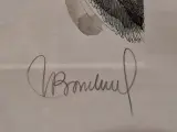 Set van 2 handgesigneerde dierillustraties ‘Haan’ en ‘Vrouwelijke uil’ - 2000/2002 - Willy Bosschem – foto 7 – kavel bij De Kringwinkel, Gent