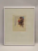 Set van 2 handgesigneerde dierillustraties ‘Haan’ en ‘Vrouwelijke uil’ - 2000/2002 - Willy Bosschem – foto 8 – kavel bij De Kringwinkel, Gent
