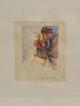Set van 2 handgesigneerde dierillustraties ‘Haan’ en ‘Vrouwelijke uil’ - 2000/2002 - Willy Bosschem – foto 9 – kavel bij De Kringwinkel, Gent